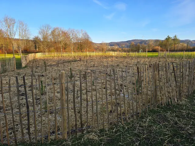 Foto: Heidrun Rosenberger