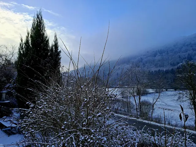 Ist das schön wenn ein wenig Schnee liegt❄️❄️❄️ | Foto: Ralf Röser