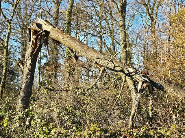 Foto: Heidrun Rosenberger