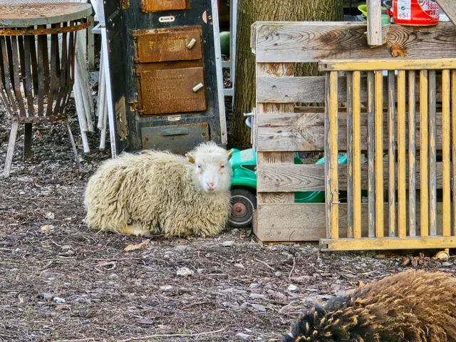 Foto: Heidrun Rosenberger