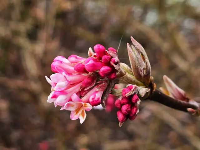 Foto: Heidrun Rosenberger
