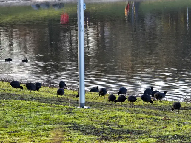 Foto: Heidrun Rosenberger