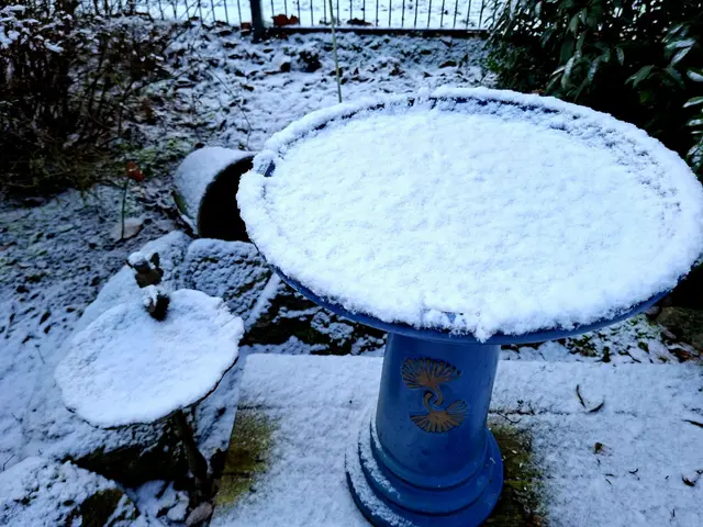 Ist das schön wenn ein wenig Schnee liegt❄️❄️❄️ | Foto: Ralf Röser