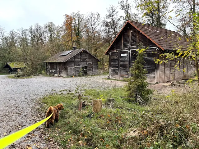 Foto: Heide Böllinger aus Bad Friedrichshall