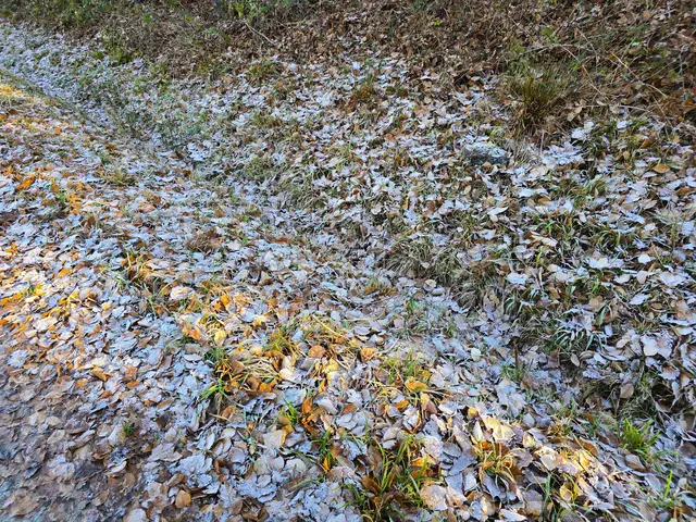 Foto: Heidrun Rosenberger