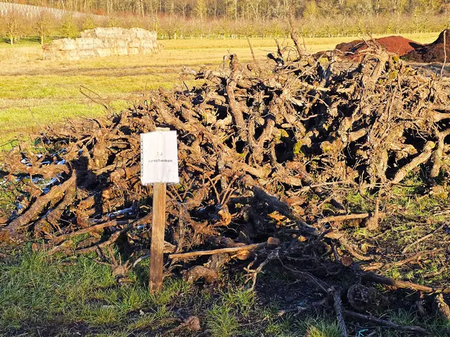 Foto: Heidrun Rosenberger