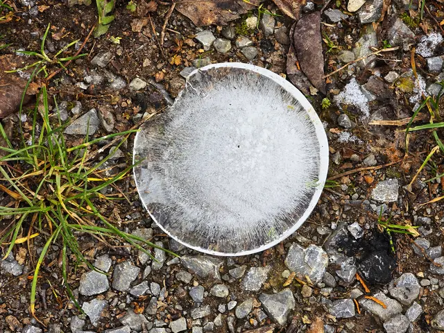 Kreis - eis - rund | Foto: Heidrun Rosenberger