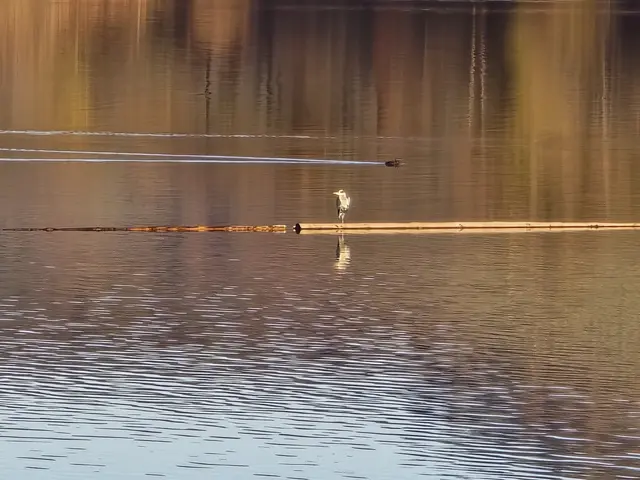 Foto: Heidrun Rosenberger