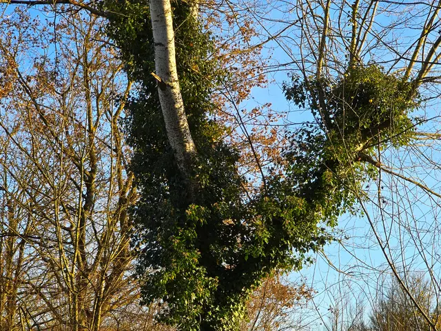 Foto: Heidrun Rosenberger