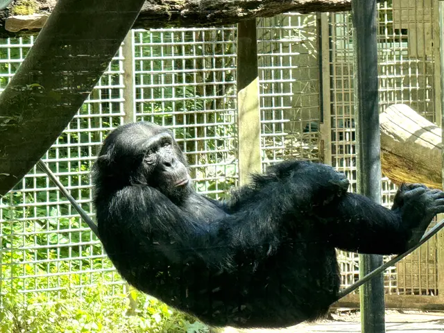 Foto: Heide Böllinger aus Bad Friedrichshall
