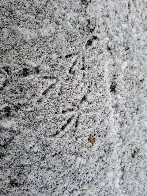 Ist das schön wenn ein wenig Schnee liegt❄️❄️❄️ | Foto: Ralf Röser