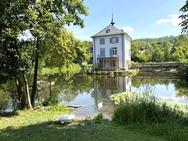 Foto: Heide Böllinger aus Bad Friedrichshall