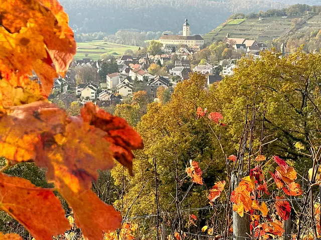 Foto: Heide Böllinger aus Bad Friedrichshall