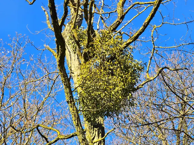 Foto: Heidrun Rosenberger