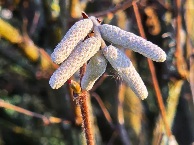 Foto: Heidrun Rosenberger