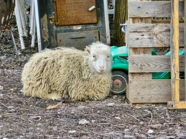 Ist das nicht süss? | Foto: Heidrun Rosenberger