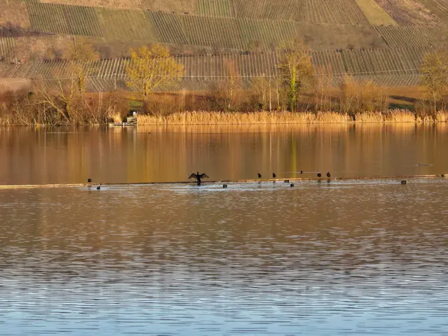 Foto: Heidrun Rosenberger