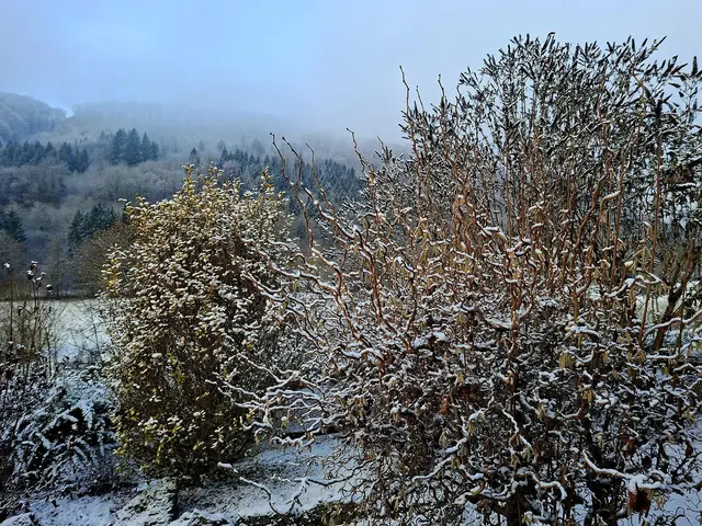 Ist das schön wenn ein wenig Schnee liegt❄️❄️❄️ | Foto: Ralf Röser