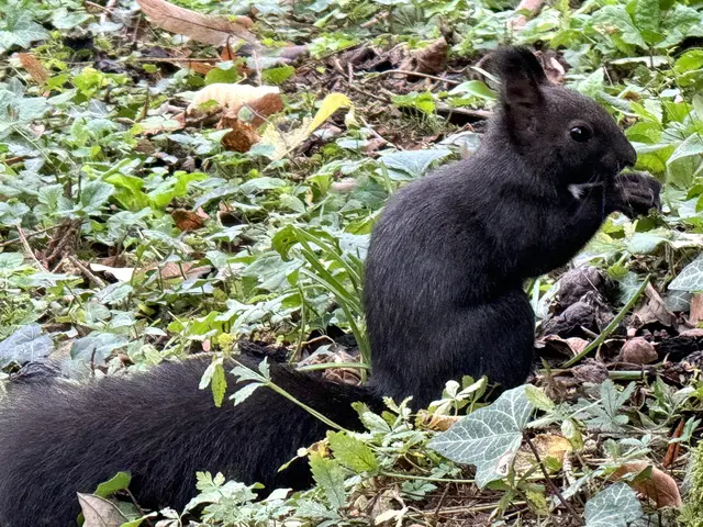 Foto: Heide Böllinger aus Bad Friedrichshall