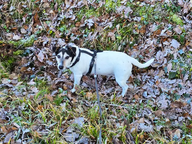 Foto: Heidrun Rosenberger