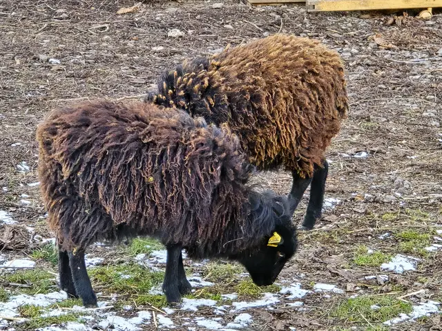 Foto: Heidrun Rosenberger