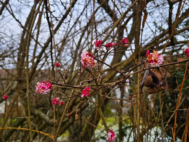 Foto: Heidrun Rosenberger