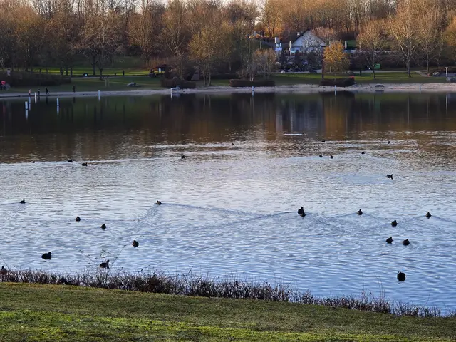 Foto: Heidrun Rosenberger