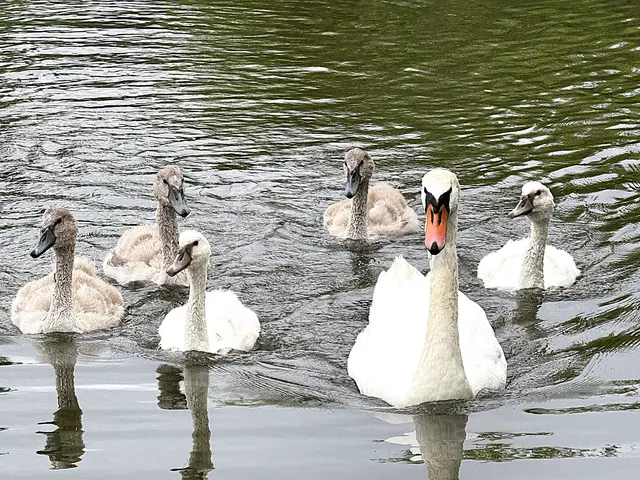 Foto: Heide Böllinger aus Bad Friedrichshall