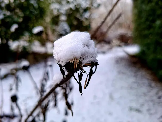 Ist das schön wenn ein wenig Schnee liegt❄️❄️❄️ | Foto: Ralf Röser