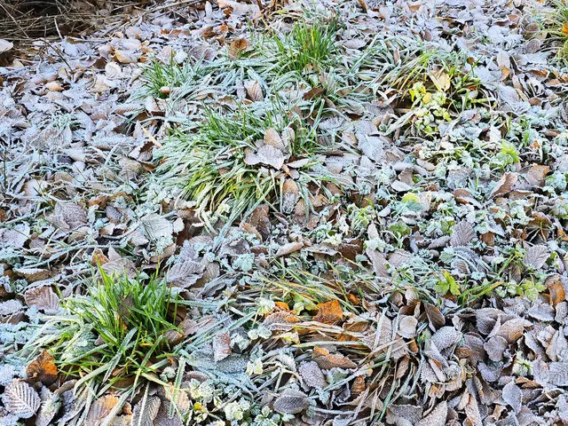 Foto: Heidrun Rosenberger