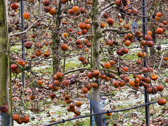 Das hätte auch nicht sein müssen. | Foto: Heidrun Rosenberger