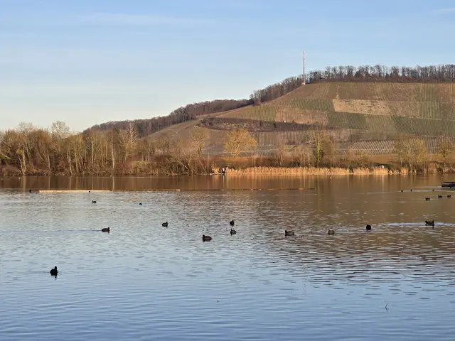 Foto: Heidrun Rosenberger