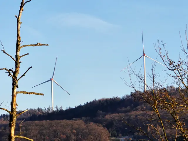 Foto: Heidrun Rosenberger