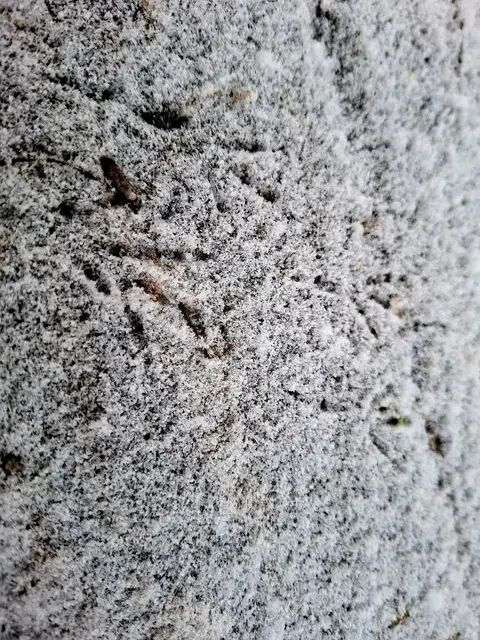 Ist das schön wenn ein wenig Schnee liegt❄️❄️❄️ | Foto: Ralf Röser