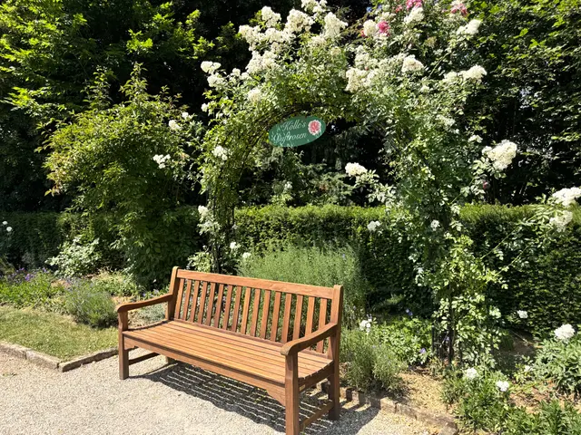 Foto: Heide Böllinger aus Bad Friedrichshall