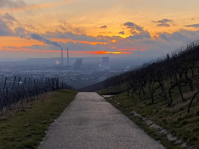 Foto: Heide Böllinger aus Bad Friedrichshall