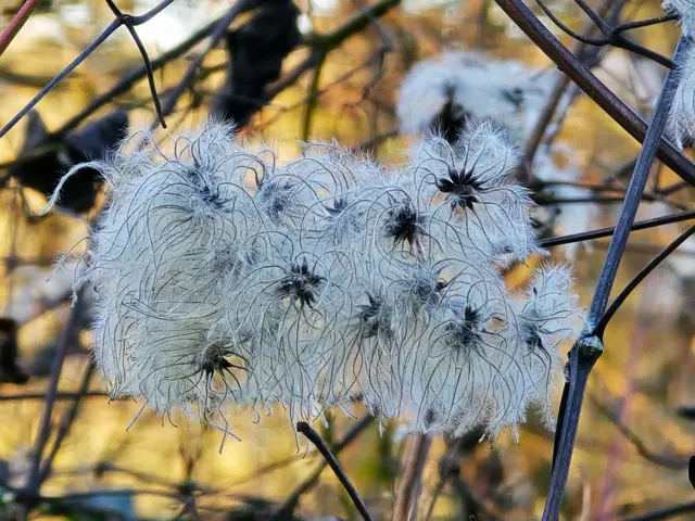 Foto: Heidrun Rosenberger