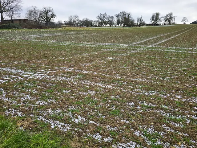 Tolles Muster. | Foto: Heidrun Rosenberger