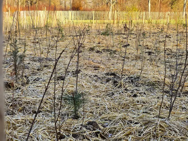 Foto: Heidrun Rosenberger