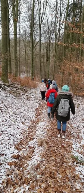 Wandern 2025 im Heilbronner Stadtwald ... | Foto: Johannes Müllerschön