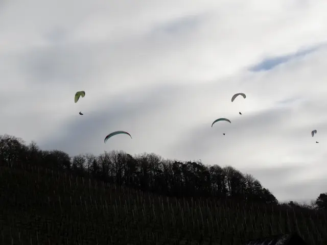 Reger Flugverkehr trotz der Kälte | Foto: Wandern Gaby Erich