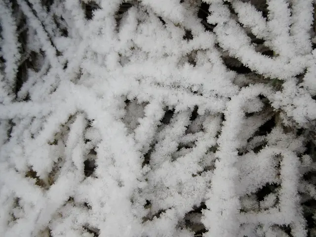 Väterchen Frost dagegen für bizarres Weiß | Foto: Wandern Gaby Erich