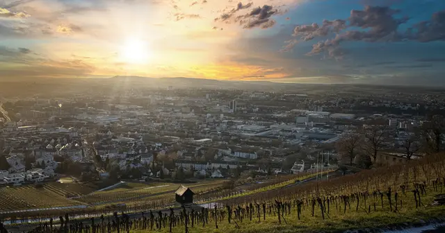 Wintersonne über Heilbronn | Foto: Moni Bordt