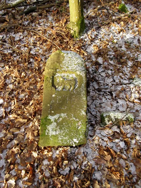 Der Bracken ist nur noch teilweise erhalten, aber gut erkennbar. | Foto: Wandern Gaby Erich
