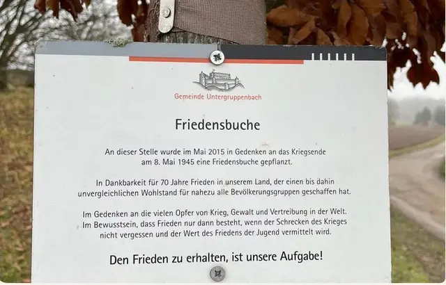 Aktuell für 2026 muß es wohl heisen Frieden erreichen, gegen jede Agression auch in der Ukraine und im Gaza Streifen ... | Foto: Johannes Müllerschön