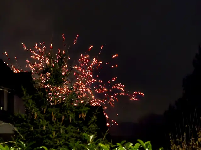 Foto: Heidrun Rosenberger