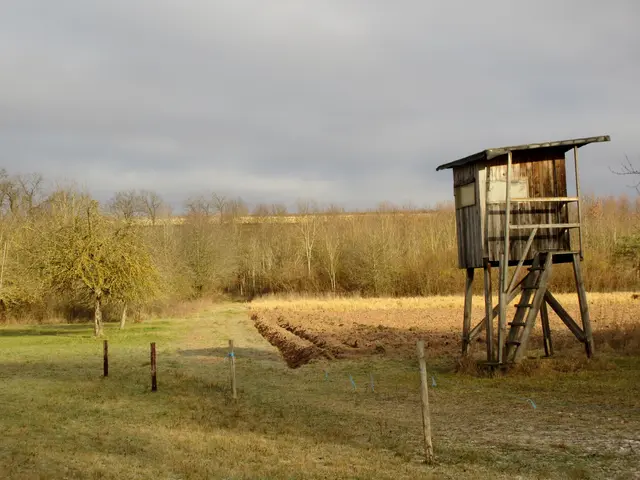 Auf der linken Seite des Weges Sonne | Foto: Wandern Gaby Erich
