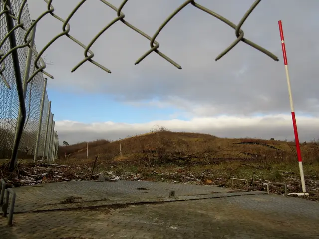 Der Zaun ist unten offen, vermutlich damit die Tiere durch können, aber das bietet auch interessante Perspektiven | Foto: Wandern Gaby Erich