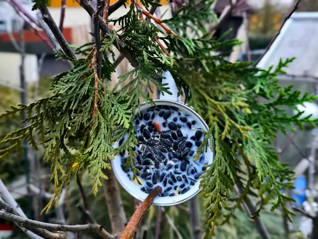 Mit einem Thuja-Zweig wirkt es doch wesentlich schöner. | Foto: Heidrun Rosenberger