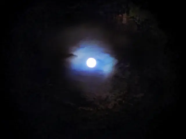 Foto: Heidrun Rosenberger